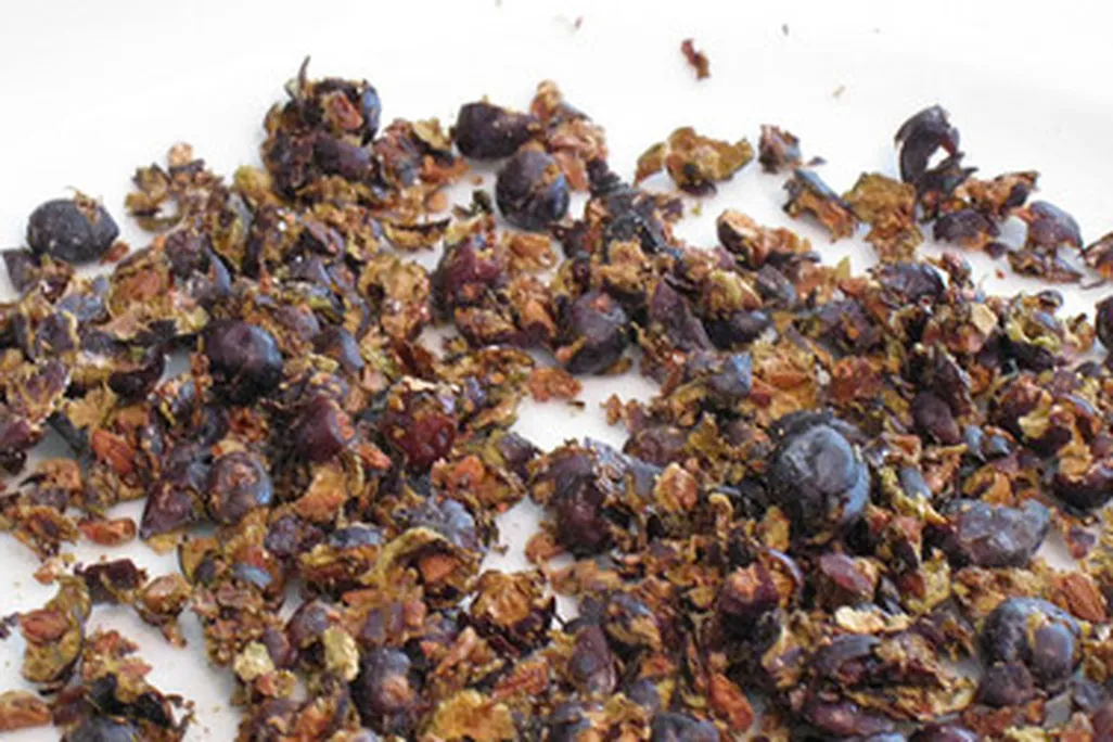 Juniper berries