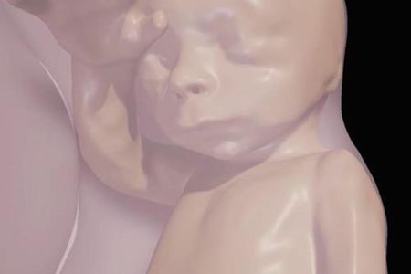 This fetus was visualized using new technology that offers a detailed view of a developing fetus using VR.