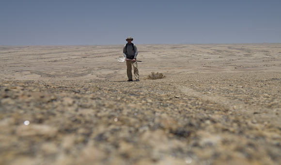 2012-02-04_2040774.png