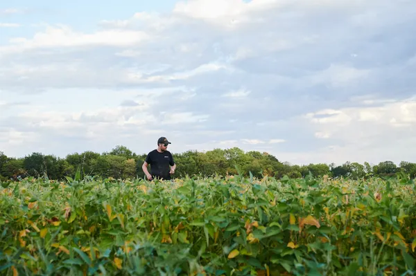 Farmer, Joe Carr, checks on his family's farm crops. thumbnail