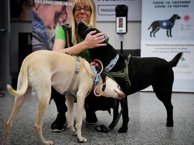 Caption via Getty: "The coronavirus sniffer dogs named Kössi (L) and Miina cuddle with trainer Susanna Paavilainen at the Helsinki airport in Vantaa, Finland where they are trained to detect the Covid-19 from the arriving passengers, on September 22, 2020."