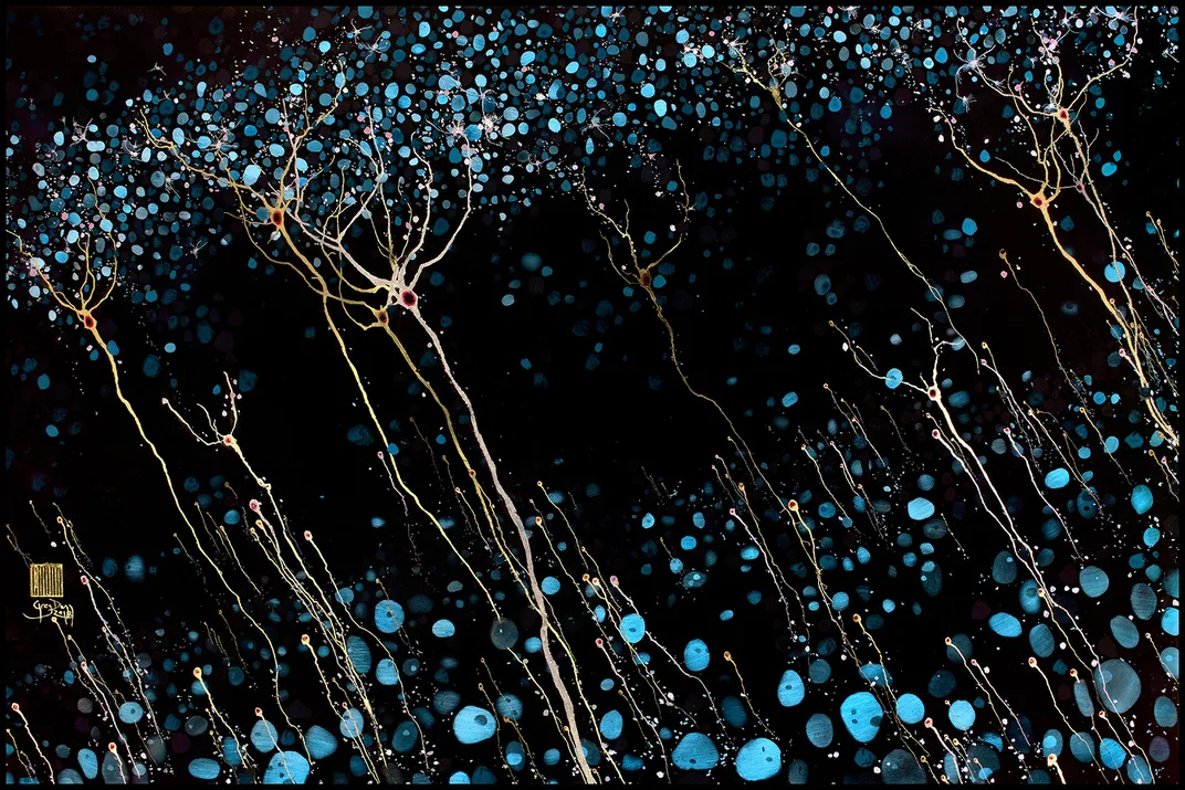 Painting of Newborn Neurons between Layers of Circular Blue Cells