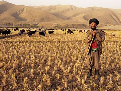 Many Afghans (like Khalil Ali Daoud, with whom Belliveau and O'Donnell stayed) still work the land, despite the danger of land mines.