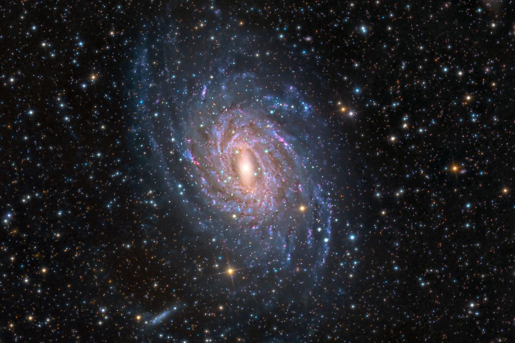11E_DJ2019_Option2_NGC6744goldman_LIVE.jpg