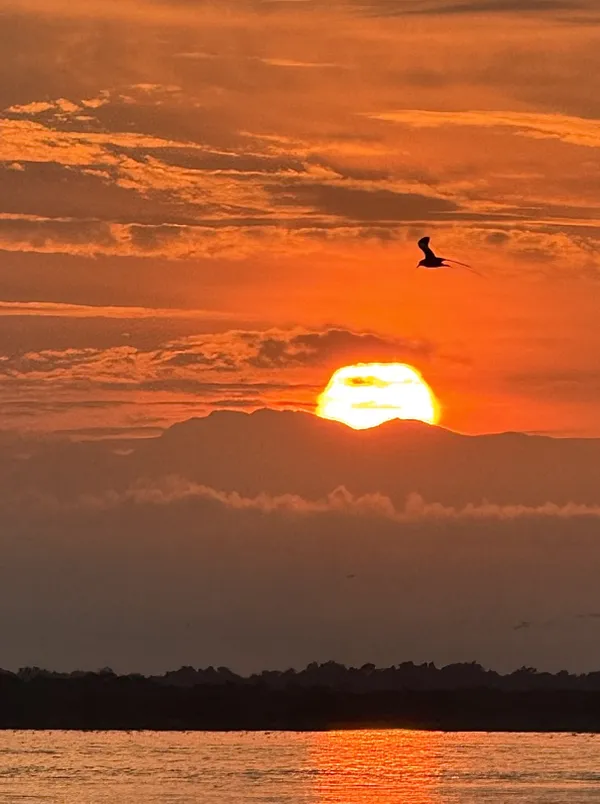 Sunrise at Magdalena River thumbnail