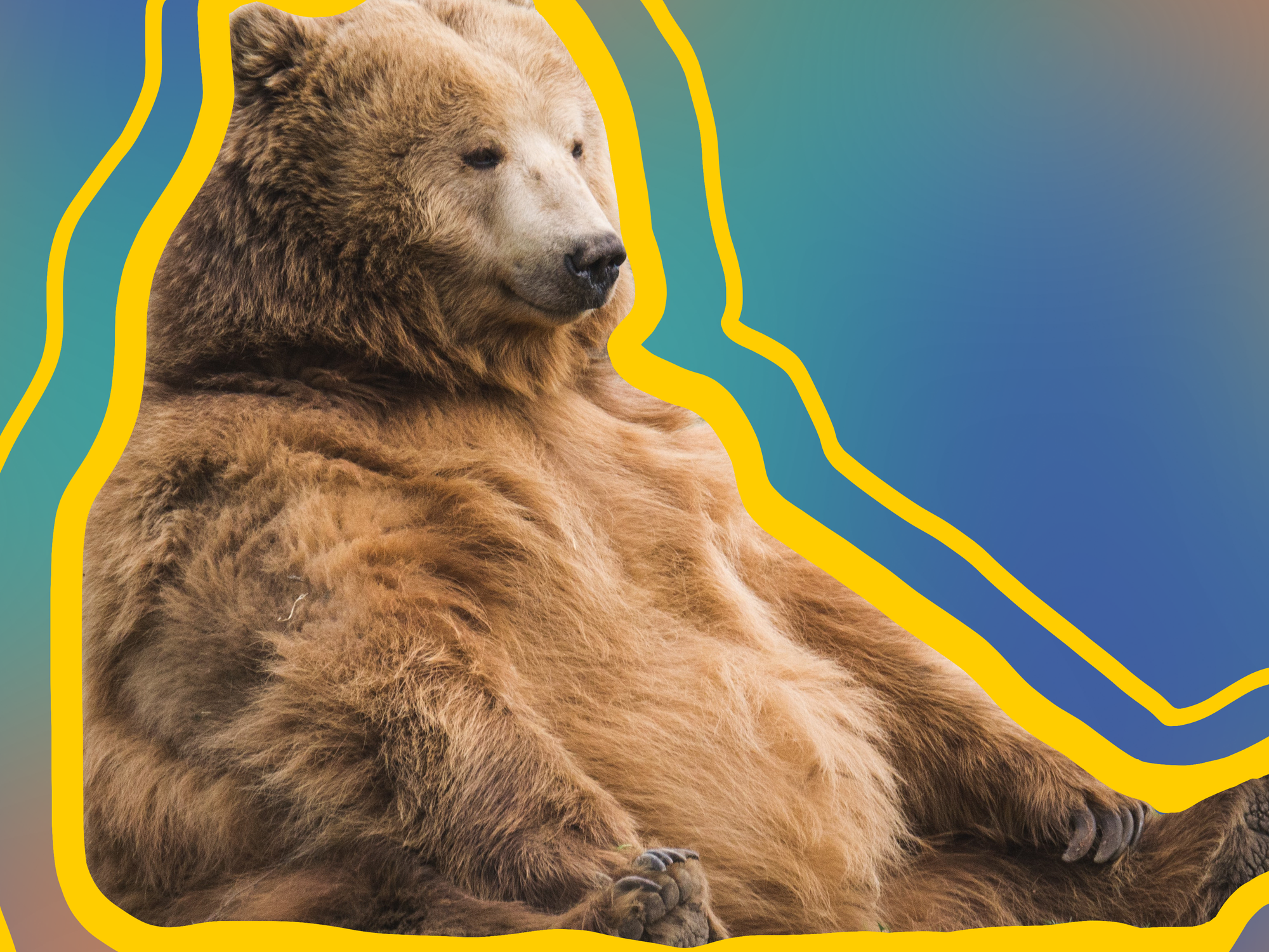 Blubbery Bears and Indigenous Agroforestry in This Week’s Earth ...