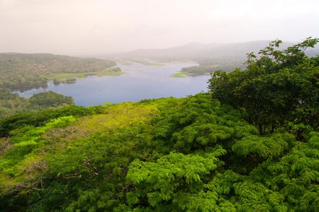Lush rainforest surrounds the Chagres River in Panama.