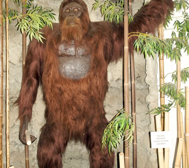Gigantopithecus