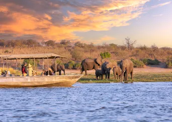 Botswana: A Tailor-Made Journey to Chobe National Park and the Okavango Delta description