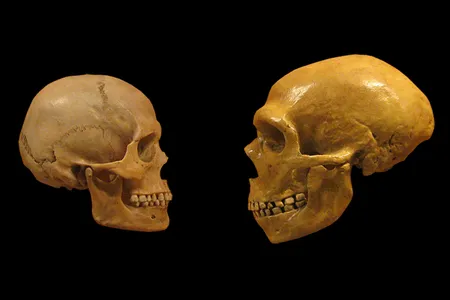 The genetic legacies of modern humans and Neanderthals are more intertwined than once thought.
