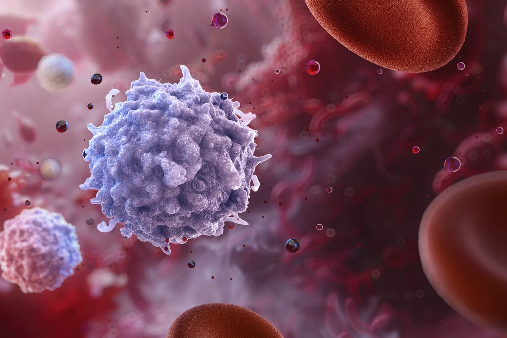 an illustration of spherical cells with small tendrils amid red blood cells