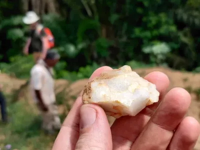 Stone tools suggest humans lived in a tropical rainforest in present-day&nbsp;Ivory Coast roughly 150,000 years ago.