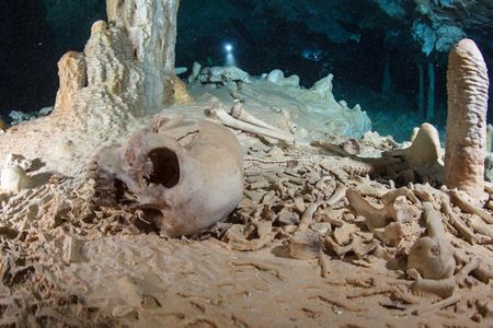The skeletal remains found in a Mexican cave before their looting