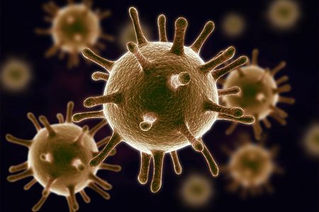 Say hello to your little friends.