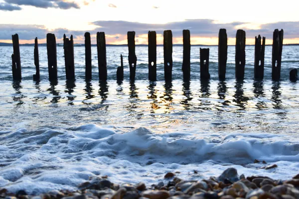 Ancient sea weathered timbers thumbnail