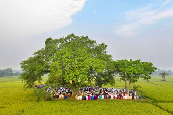 Eid prayers under centuries-old banyan tree thumbnail