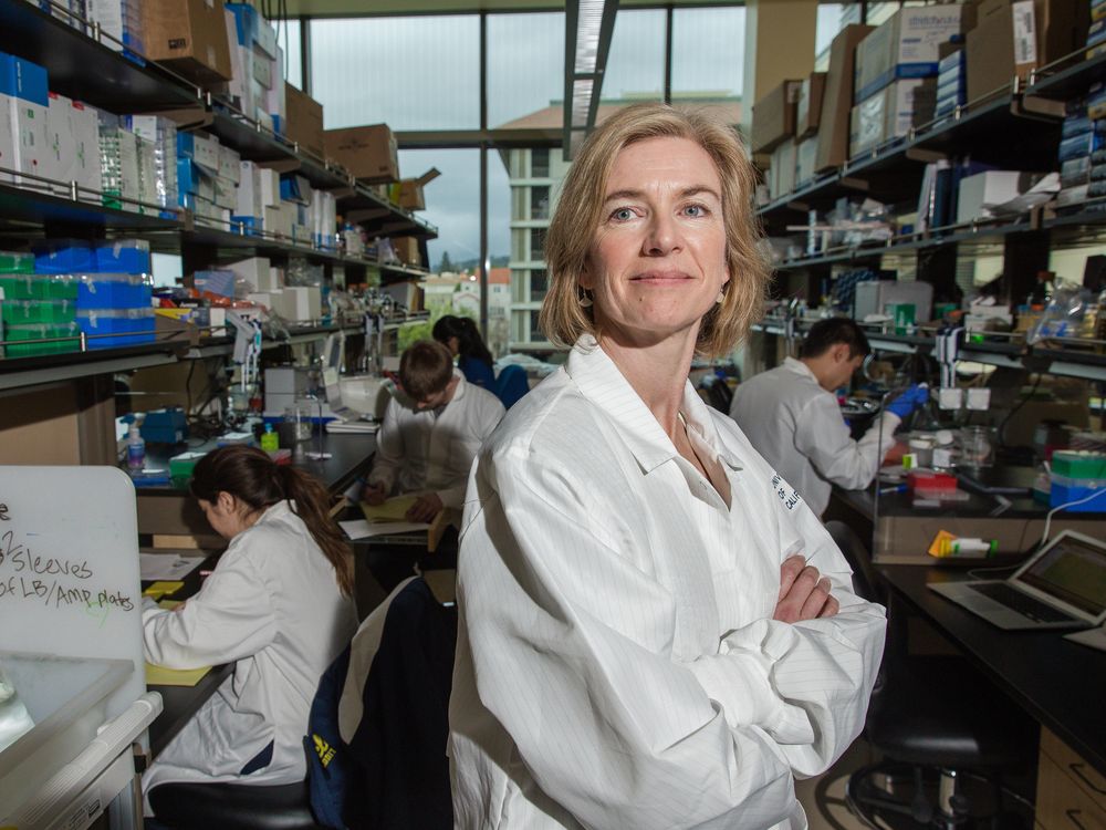 Jennifer Doudna in her lab