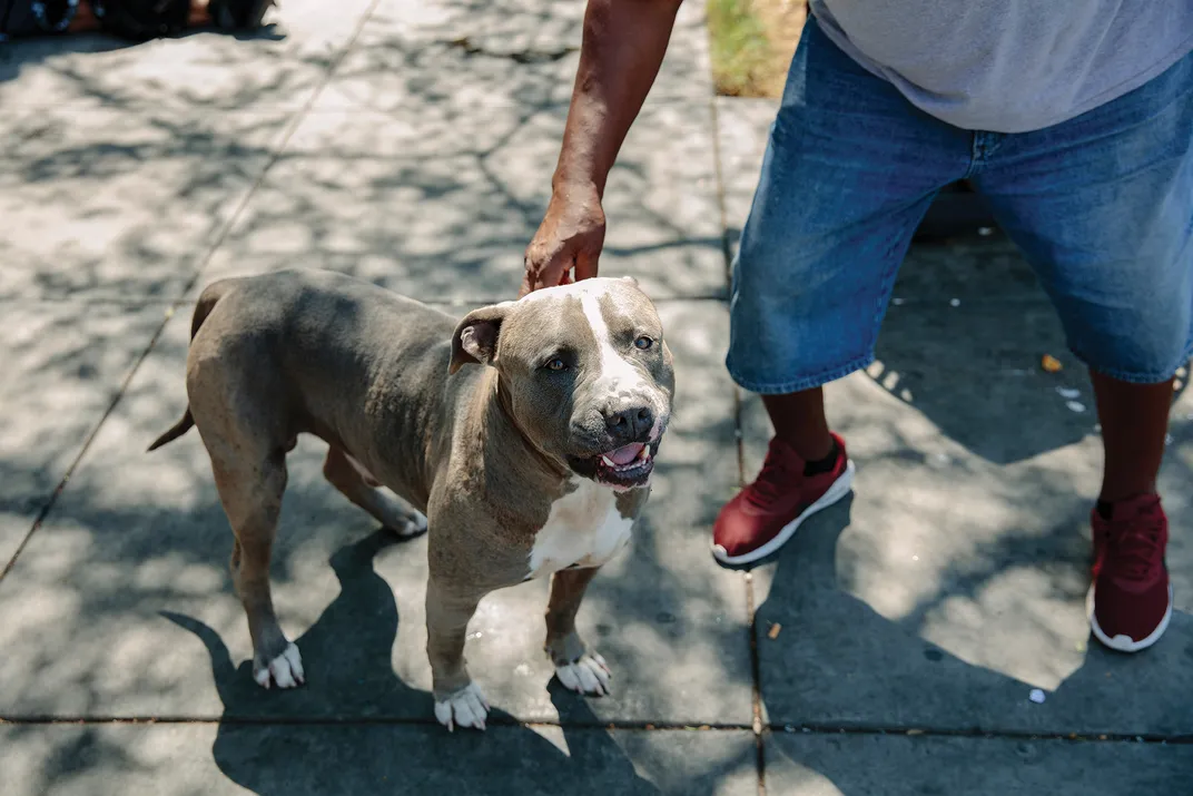 Bullet and his owner in San Diego