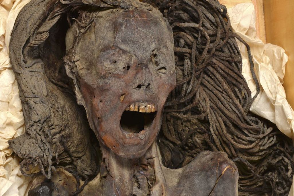 A photograph of the front of the head of mummified woman