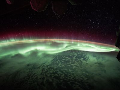 The Earth’s magnetic field does more than just cause auroral light shows. Could it play a role in extinctions, too?