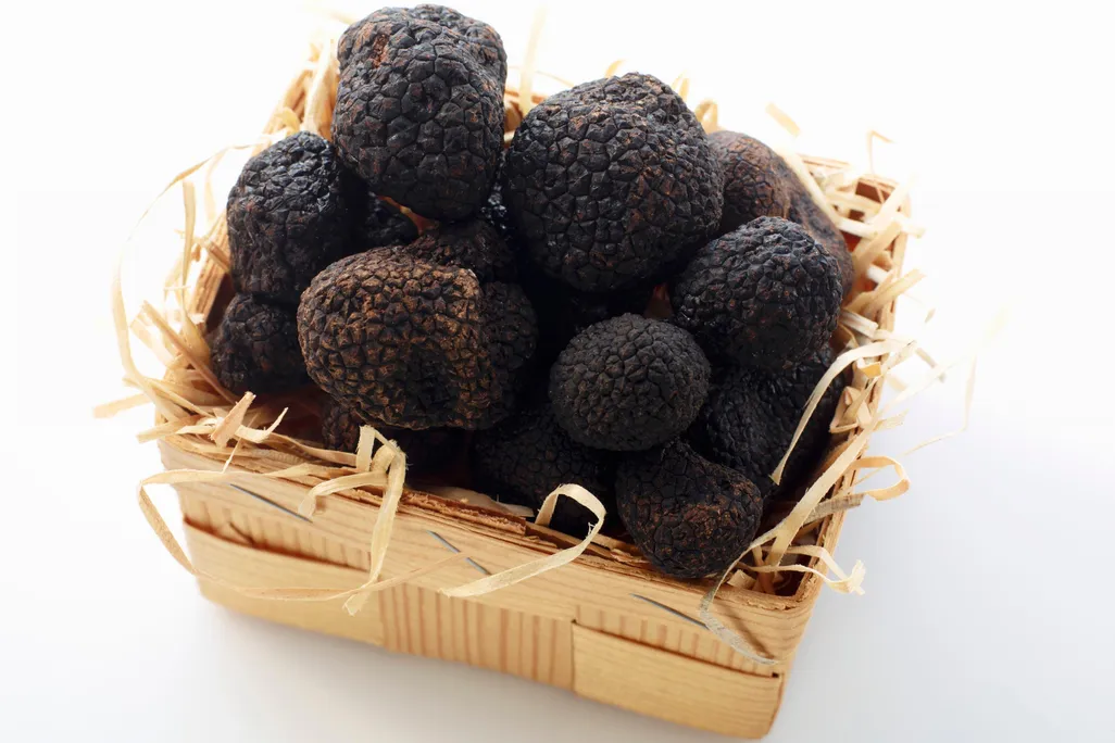 truffle