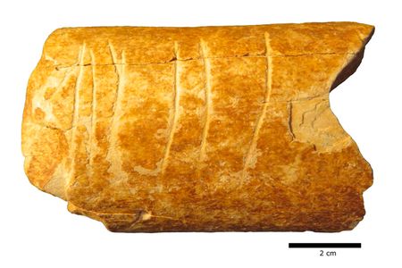 The researchers determined that a right-handed craftsperson created the markings in a single session.