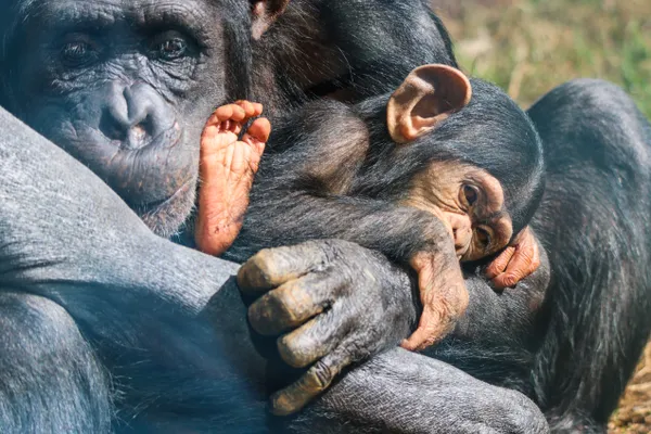 I am in between the love thumbnail