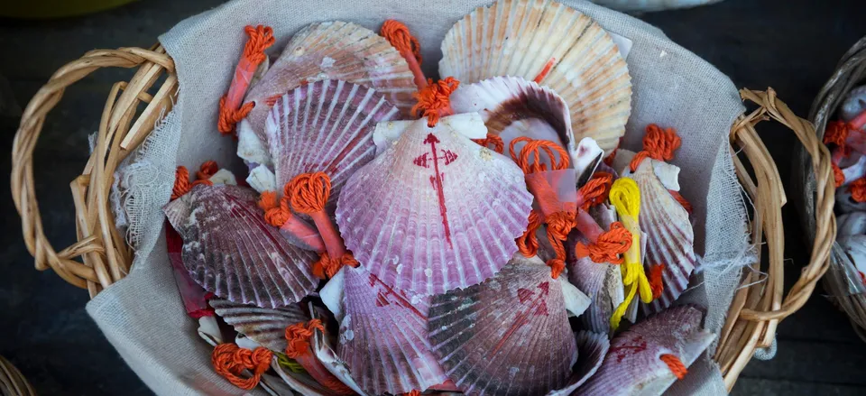  Scallop shells, symbol for the Camino de Santiago 