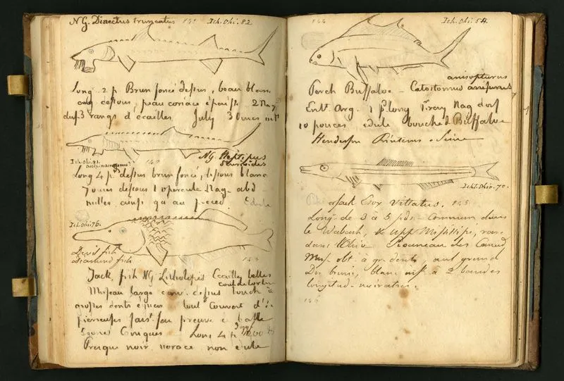Pages from Rafinesque's journal