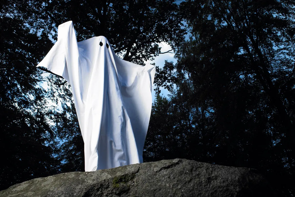 ghost costume