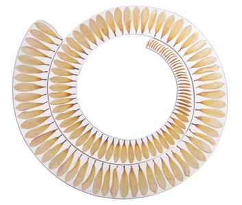 The Dahlia necklace was produced in the Netherlands in 1984.