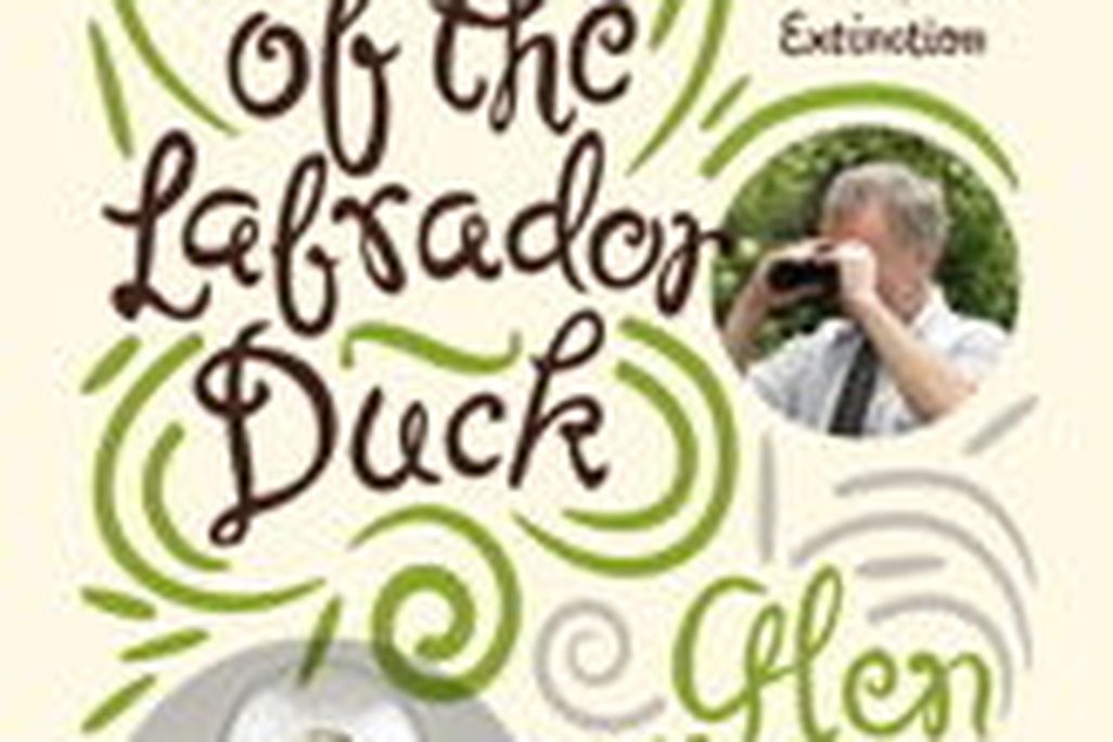 20110520102252duckcover.jpg