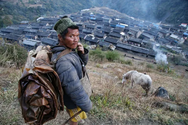 Shepherd in Gurja Khani thumbnail