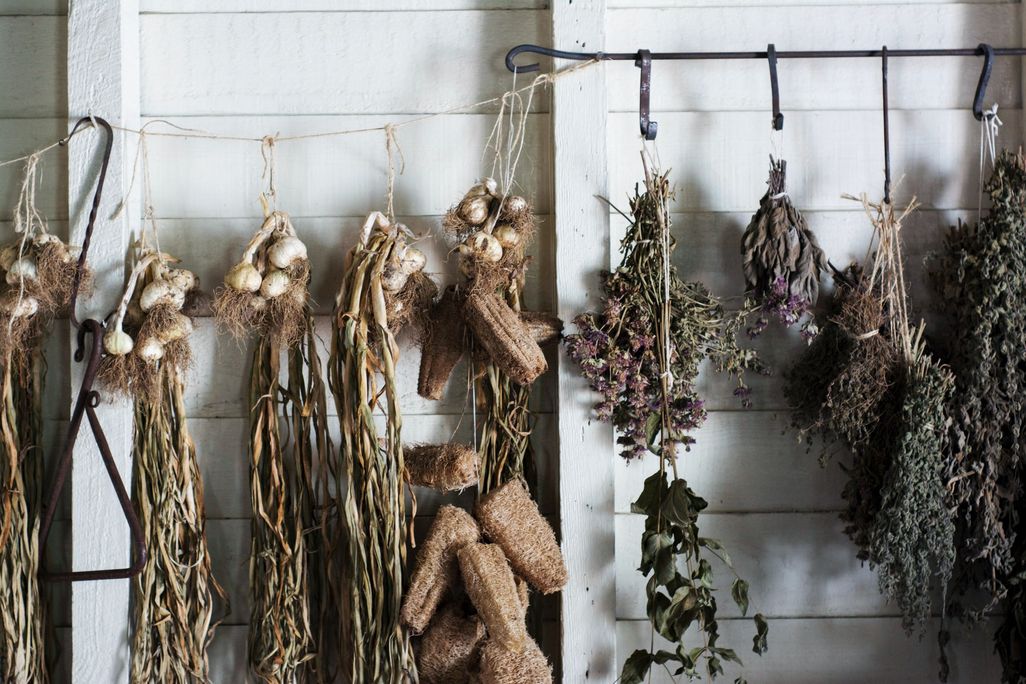 Herbs and plants
