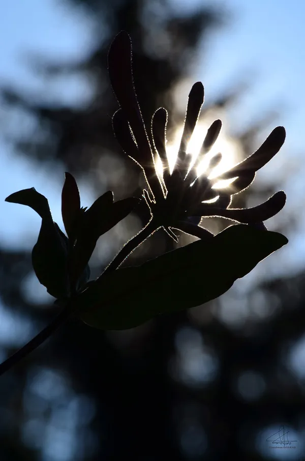 1. Beginning thumbnail