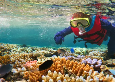 tailor-made-travel-australia-families