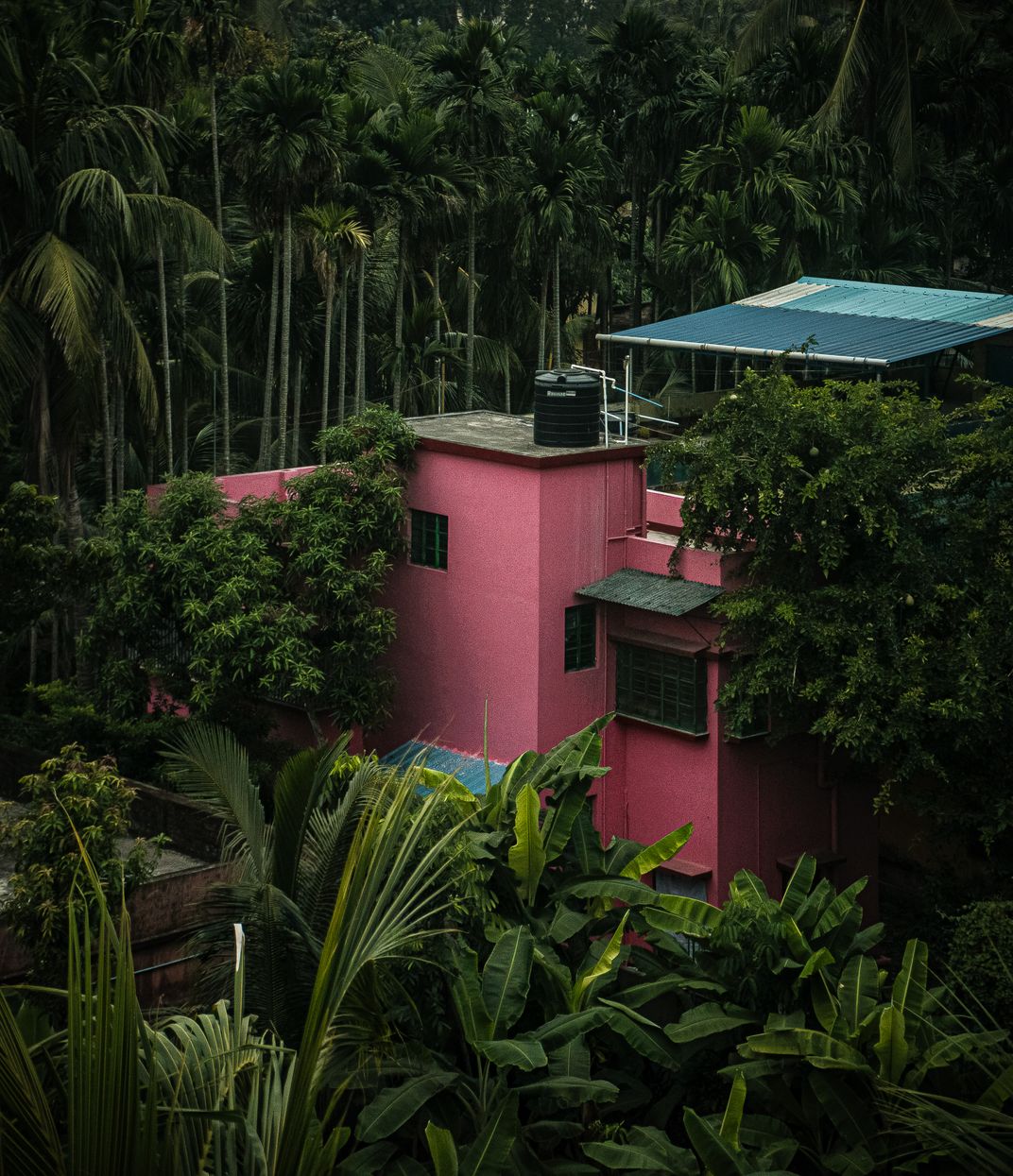 Beautiful Pink House Amongst Nature Woods | Smithsonian Photo Contest ...