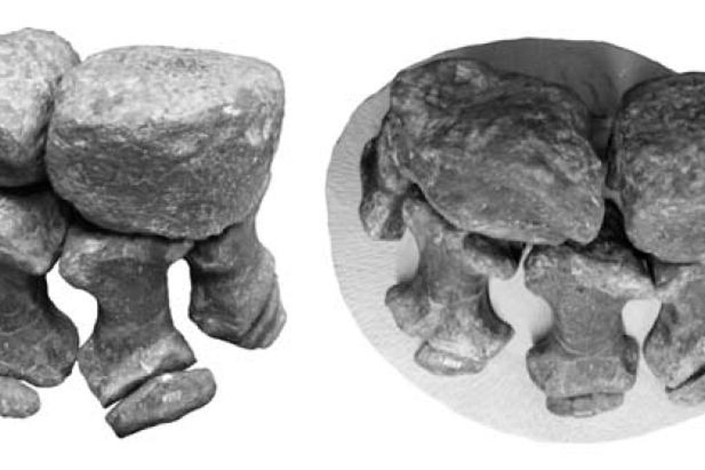 20110520083248stegosaur-hands.jpg