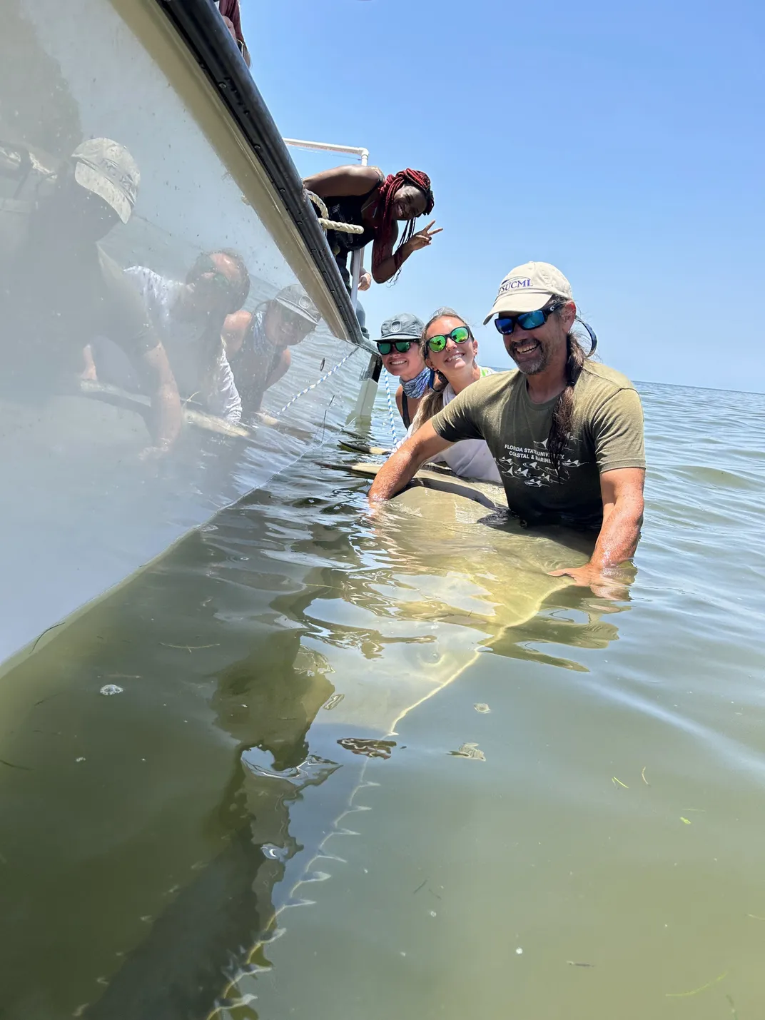 smiling researchers hold sawfish in water next to boat