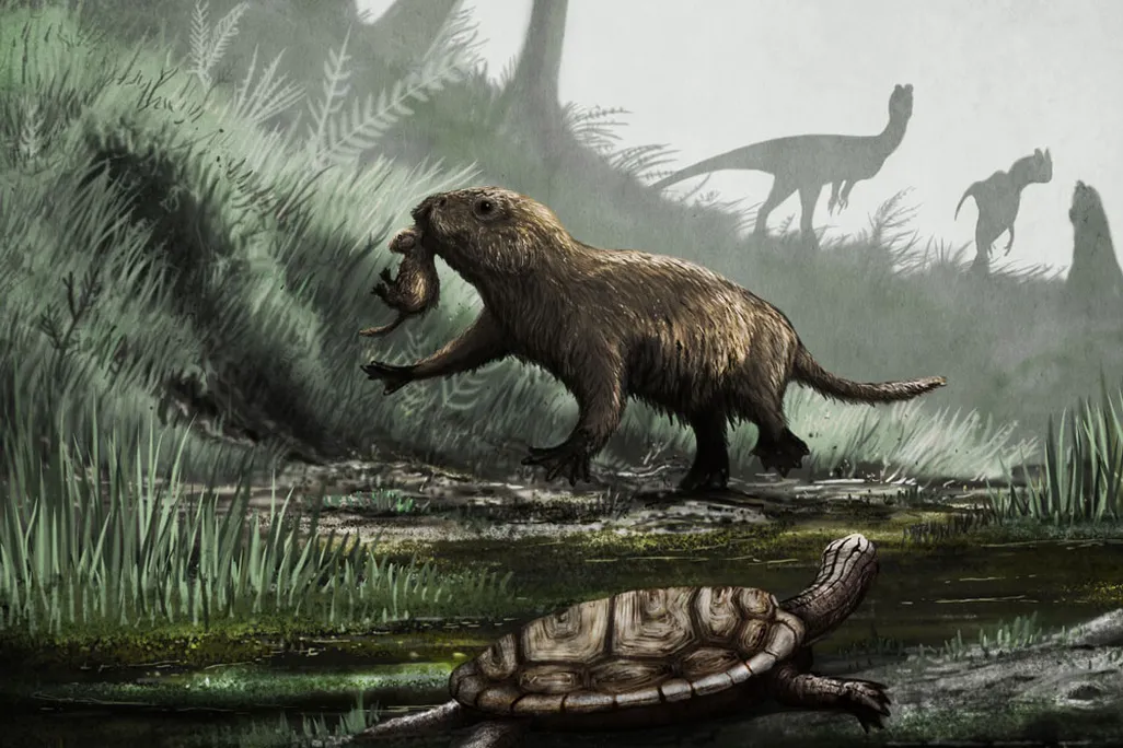 Early Mammal