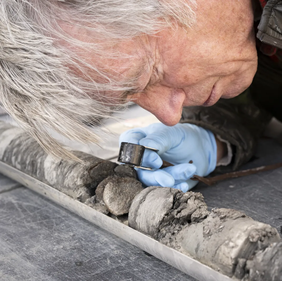 Man looking at fossil