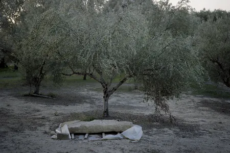 The warrior was buried in an olive grove outside the acropolis of Pylos. Though archaeologist Carl Blegen explored the olive grove in the 1960s, he did not find anything.