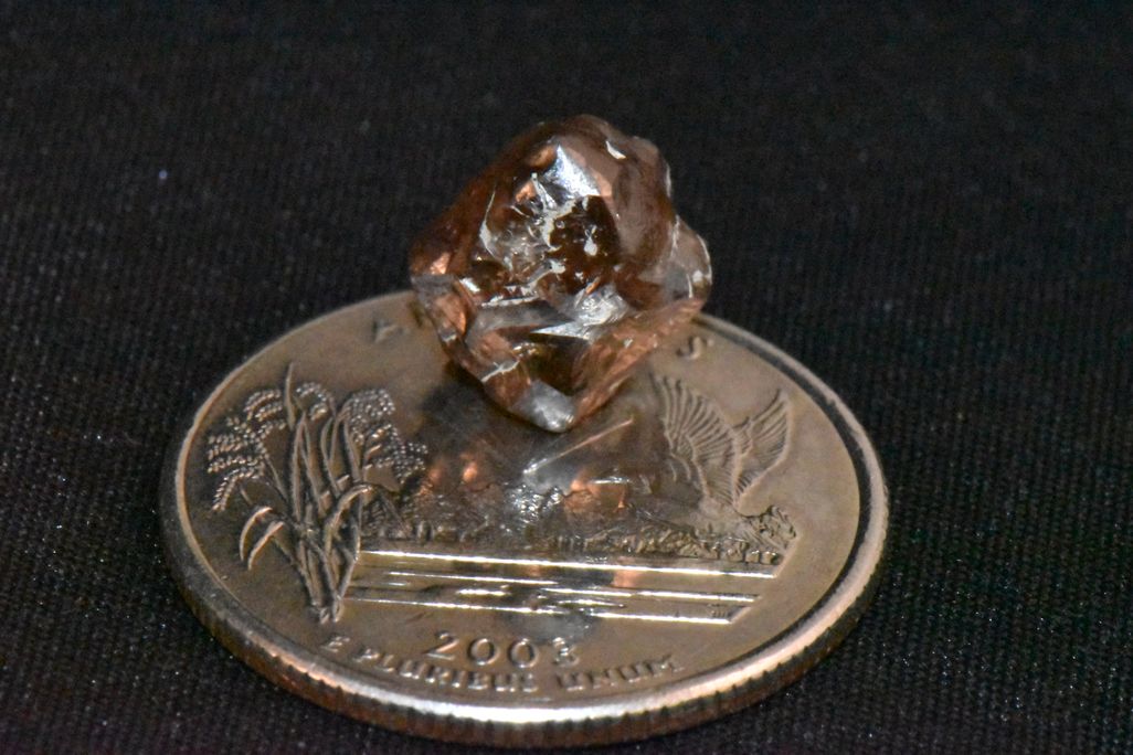 Brown gem sitting atop a coin