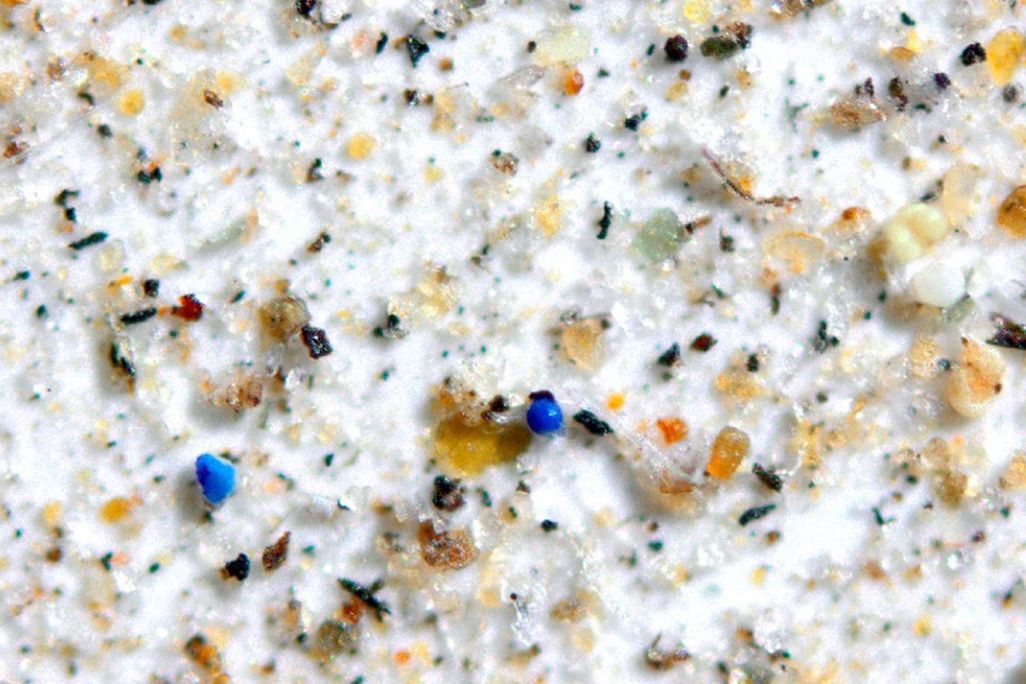 Microplastics 
