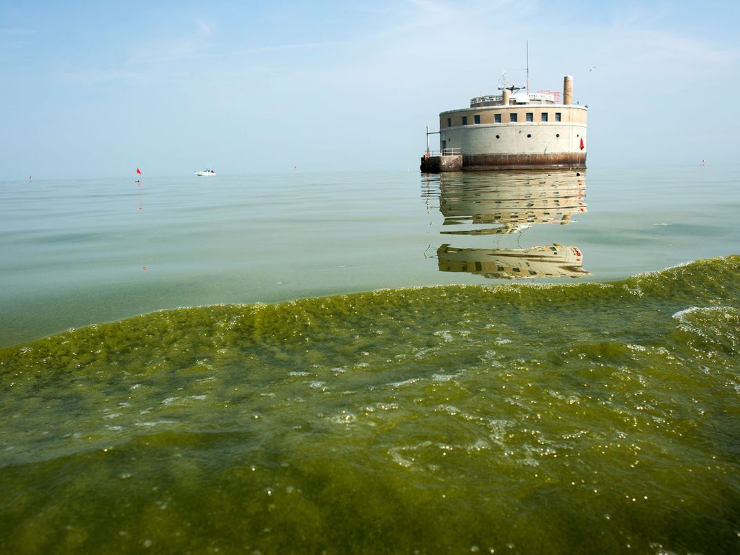 Blue-Green Algae Lake Erie