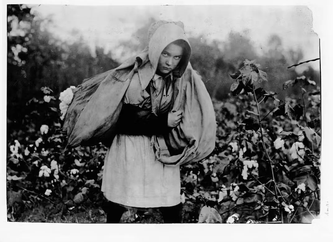 A young picker carries a large sack of cotton on her back.