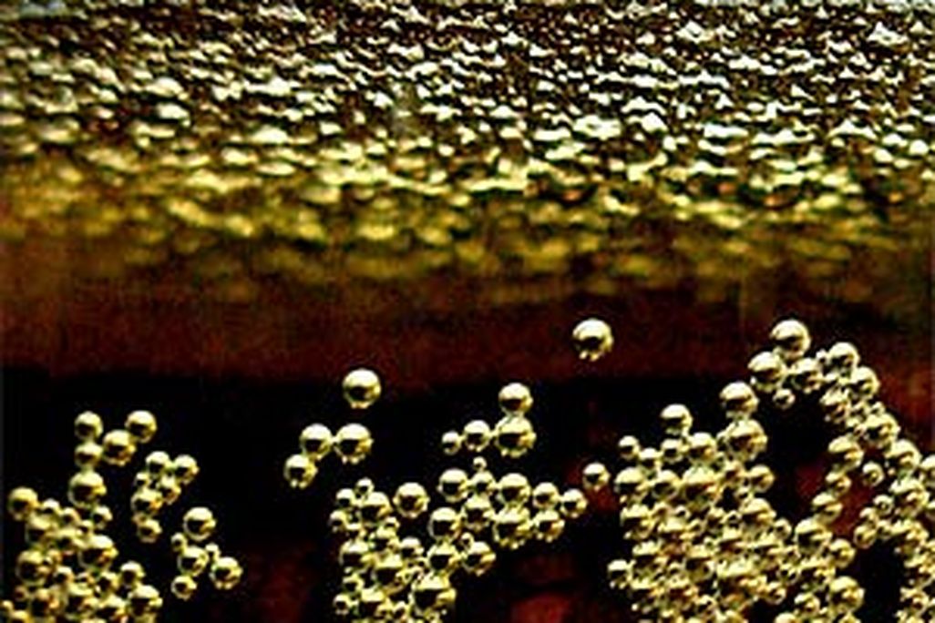 20110520085959fizz.jpg