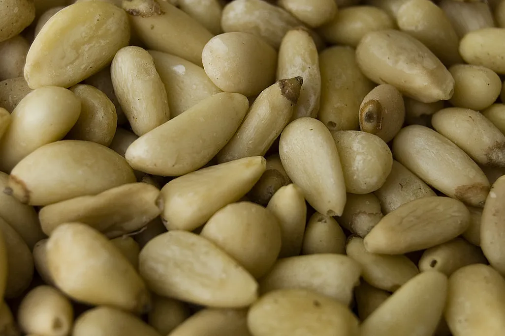 1024px-Shelled_pine_nuts.jpg