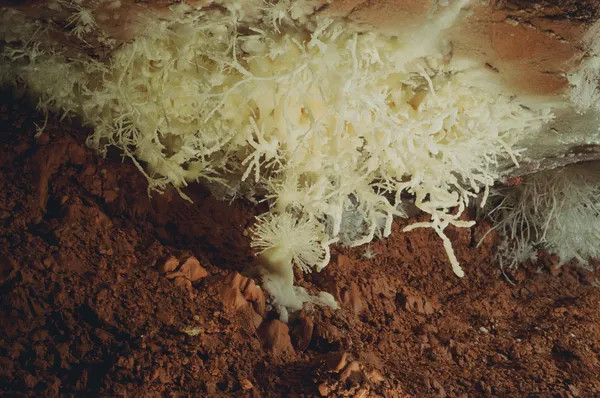 Colorado Helictites thumbnail