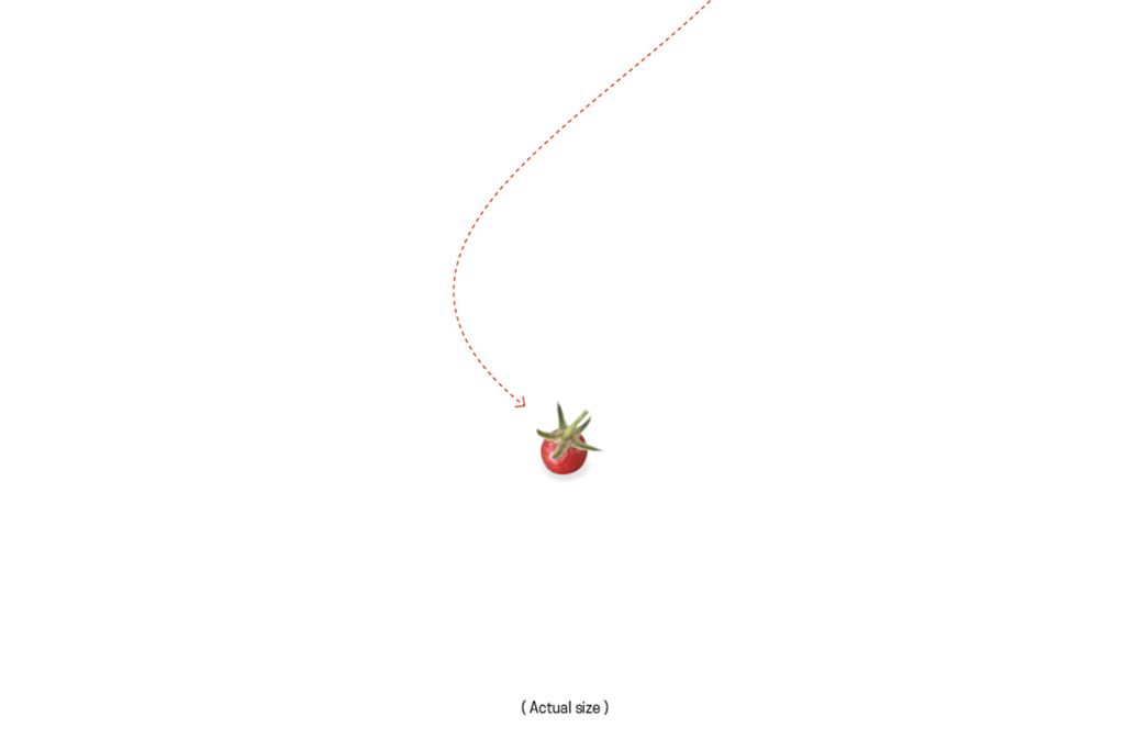 Pimp Tomato Graphic